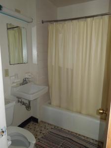 a bathroom with a sink and a toilet and a shower curtain at Lees Motel in Edison