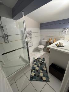 uma casa de banho com um chuveiro, um lavatório e um WC. em Chai de Villeneuve em Villeneuve-la-Rivière