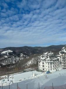 Vidik Kopaonik om vinteren