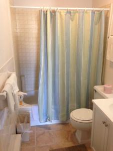 y baño con cortina de ducha y aseo. en Rustic Motel Rolla, en Rolla