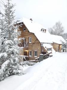 uma cabana de madeira na neve em Snežna Kuća Apartments em Kopaonik