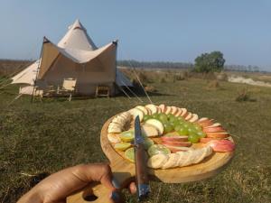 Bhurkīā的住宿－Burhan Wilderness Camps，拿着一盘葡萄和一对剪刀的人