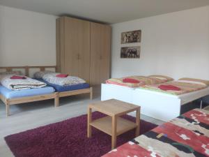 Habitación con 2 camas y mesa. en Studio Apartment Souterrain in Freiburg, en Freiburg im Breisgau