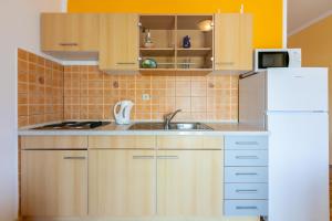 Kuchyň nebo kuchyňský kout v ubytování Apartments Lino