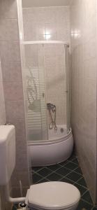 a small bathroom with a toilet and a shower at Cozy studio apartment at center of Bijeljina in Bijeljina