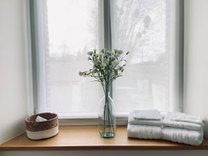 Rilly-la-MontagneにあるLa Cour Tellierの窓際の棚花瓶