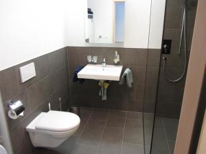 a bathroom with a toilet and a sink and a shower at Ferienwohnung Jones in Pany