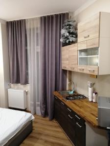 Kuchyňa alebo kuchynka v ubytovaní R&B APARTMENTS POZNAŃ