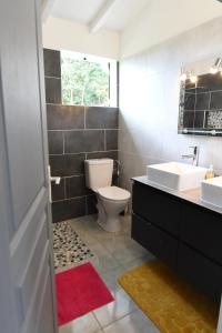 un bagno con un water e un lavandino di Gray Coconut Sorbet, T3 tout équipé avec parking gratuit a Le Moule Altre 22 foto