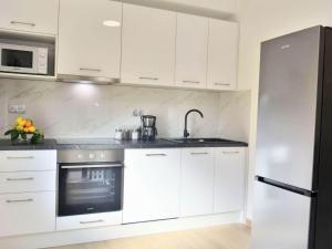 Kuchyň nebo kuchyňský kout v ubytování Fancy Apartments Dream