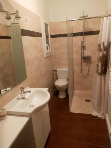 a bathroom with a sink and a toilet and a shower at T3 proche Castillet in Perpignan