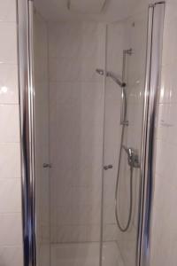 a bathroom with a shower with a glass door at Ferienappartement Trier in Trier +2 photos