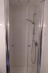 a bathroom with a shower with a glass door at Ferienappartement Trier in Trier