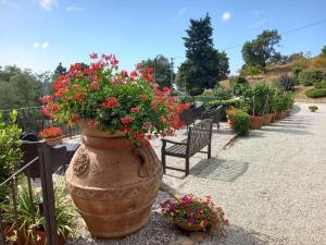 Aed väljaspool majutusasutust Agriturismo Poggio de Papi