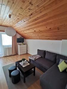 Gallery image of Apartment Corak in Grabovac