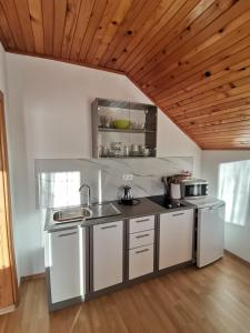 a kitchen with stainless steel appliances and a wooden ceiling at Apartment Corak in Grabovac