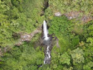 an aerial view of a waterfall in a forest at ONDA Boquete - En Desarrollo in Boquete