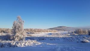 The Friendly Moose durante l'inverno