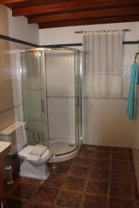 a bathroom with a shower and a toilet at Casa Las Caracolas in Mazo
