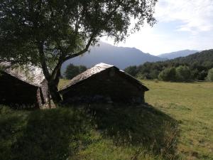 Táj a luxussátor közelében