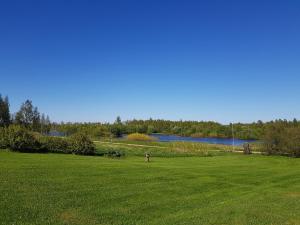 Paesaggio naturale nelle vicinanze dell'affittacamere
