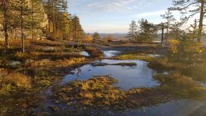Paesaggio naturale nelle vicinanze dell'affittacamere