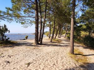 a beach with trees and water in the background at Maison confortable à Hourtin 33 m² avec terrasse in Hourtin