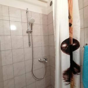 a bathroom with a shower with a hose at "iDea" Private entrance near Bačvice Beach, Center City in Split