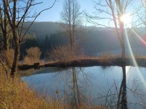 a reflection of the sun in a lake with trees at Domaine de Rosière in Glay +10 photos