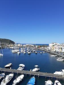 a bunch of boats are docked in a harbor at LES PETITES MAISONS maison orange in Procida