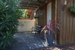 un patio con panchina e piante sul portico di l Annexe a Biscarrosse