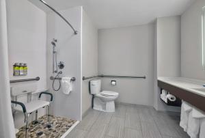 a bathroom with a toilet and a sink at Holiday Inn Express Hotel & Suites Kansas City - Grandview, an IHG Hotel in Grandview