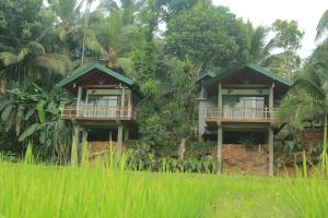 Taman di luar Rainforest Nest