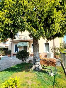 a park bench under a tree in front of a house at Les Amis in Peschiera del Garda