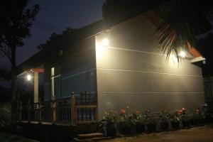 Taman di luar Rainforest Nest