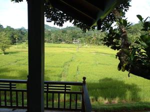 Landskap semula jadi dekat dengan hotel
