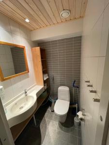 a bathroom with a toilet and a sink at Imatra Kylpyla Spa Entire Apartment in Imatra