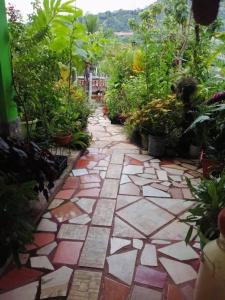 a garden with a walkway with plants at Casa “Doña Zoyla” B&B in Copán Ruinas