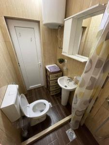 a small bathroom with a toilet and a sink at JOCKER in Virpazar