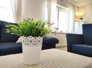 Fotografie z fotogalerie ubytování Ferienwohnung am Deich v destinaci Friedrichskoog
