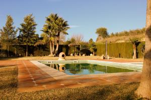 una piscina en un patio con palmeras en Casa LADI by CasaTuristica en Arriate