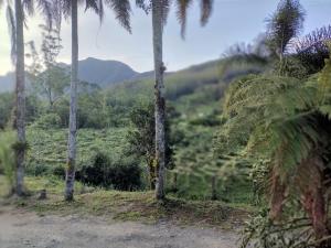Gallery image of Refúgio Villa Gervazi na Serra Rio do Rastro in Louro Müller +19 photos