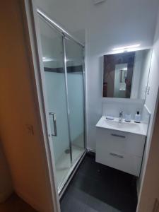 a bathroom with a shower and a sink and a mirror at Logement entier:Asnières sur Seine (10mn de Paris) in Asnières-sur-Seine