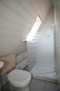 een kleine badkamer met een toilet en een douche bij Ruhige Wohnung mit Terrasse nur 5 Minuten zur Müritz in Marienfelde
