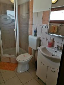 ハイドゥーバサルミーニにあるVeress Vendégházのバスルーム(トイレ、洗面台、シャワー付)
