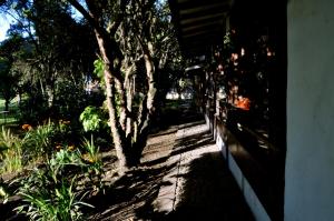 Zahrada ubytování Posada Cafe La Huerta