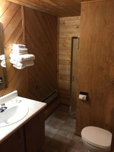 a bathroom with a toilet and a sink and a mirror at Double G Service in Muncho Lake +23 photos