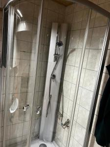 y baño con ducha y puerta de cristal. en FeWo Teusch Top4, en Arnoldstein