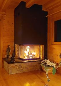 莱迪亚布勒雷Chambre d'hôtes L'ours Bleu的相册照片
