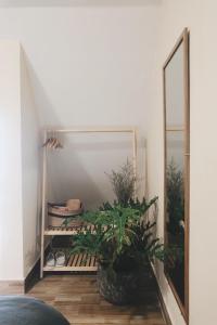 Fotografie z fotogalerie ubytování Be.Ho DaLat - Attic v destinaci Da Lat